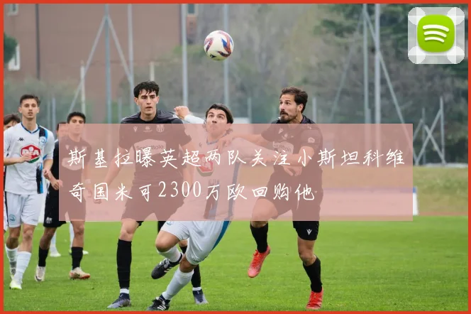 斯基拉曝英超两队关注小斯坦科维奇国米可2300万欧回购他