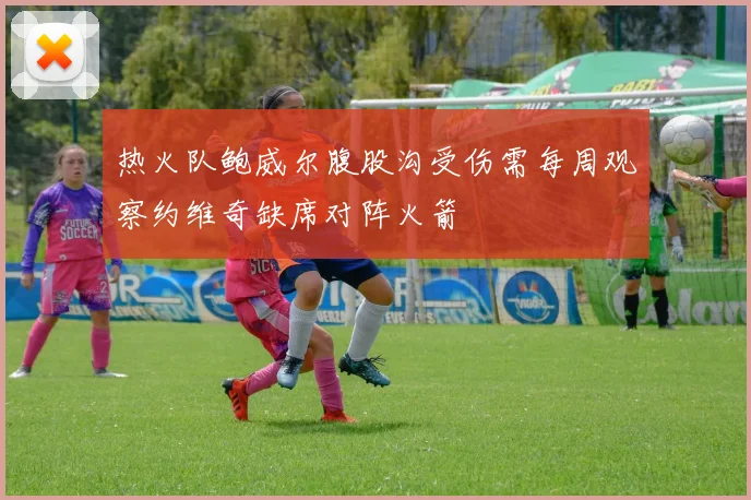 热火队鲍威尔腹股沟受伤需每周观察约维奇缺席对阵火箭