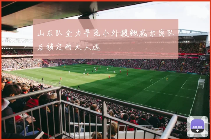 山东队全力寻觅小外援鲍威尔离队后锁定两大人选